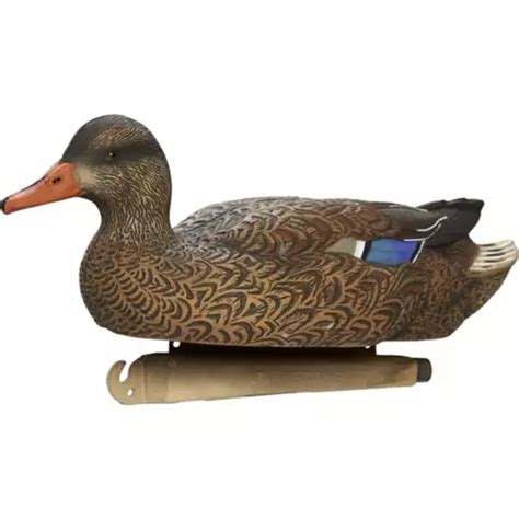 sx decoys scheels.